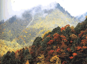 西岭雪山风景